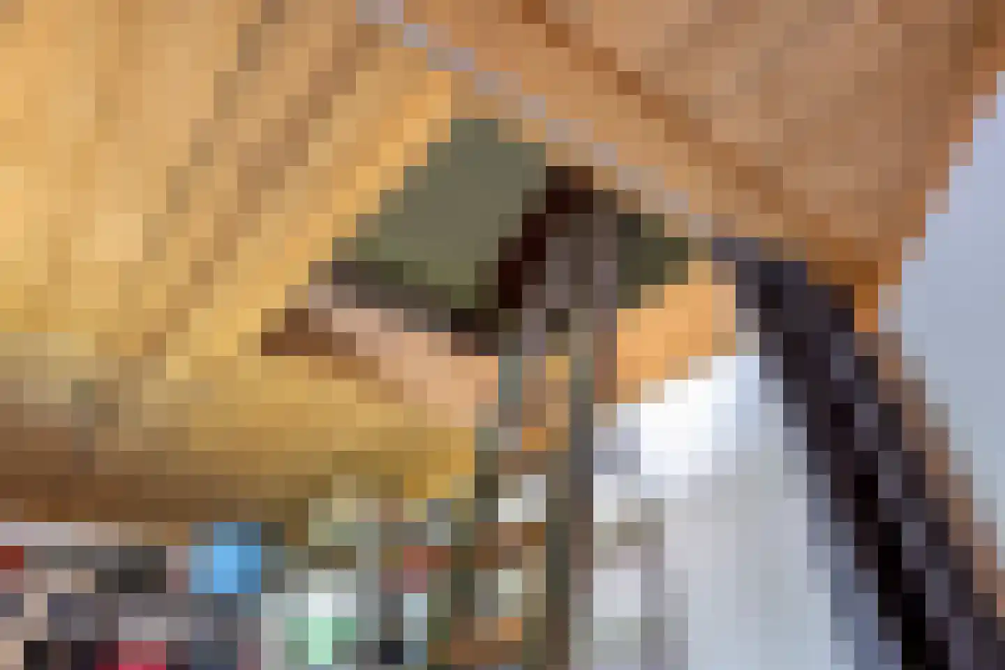 Schepersweg 8 Uden thumbnail 54