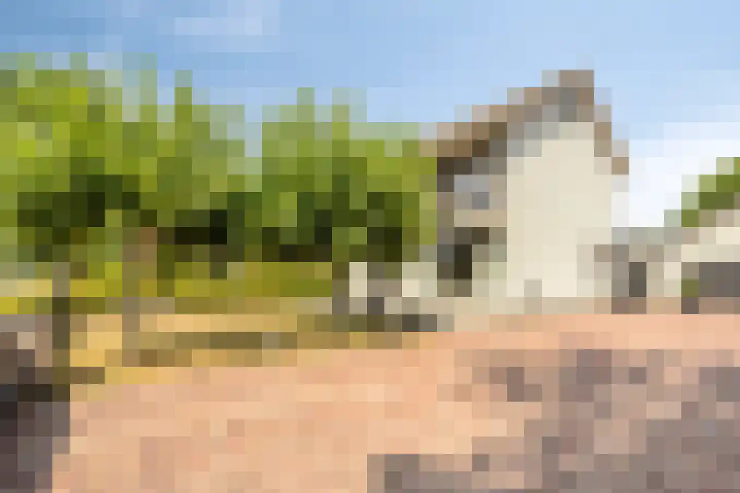 Schepersweg 8 Uden thumbnail 6