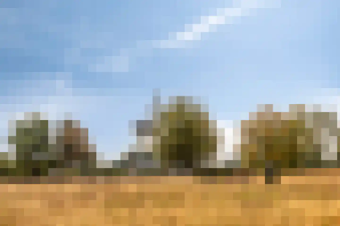 Schepersweg 8 Uden thumbnail 60