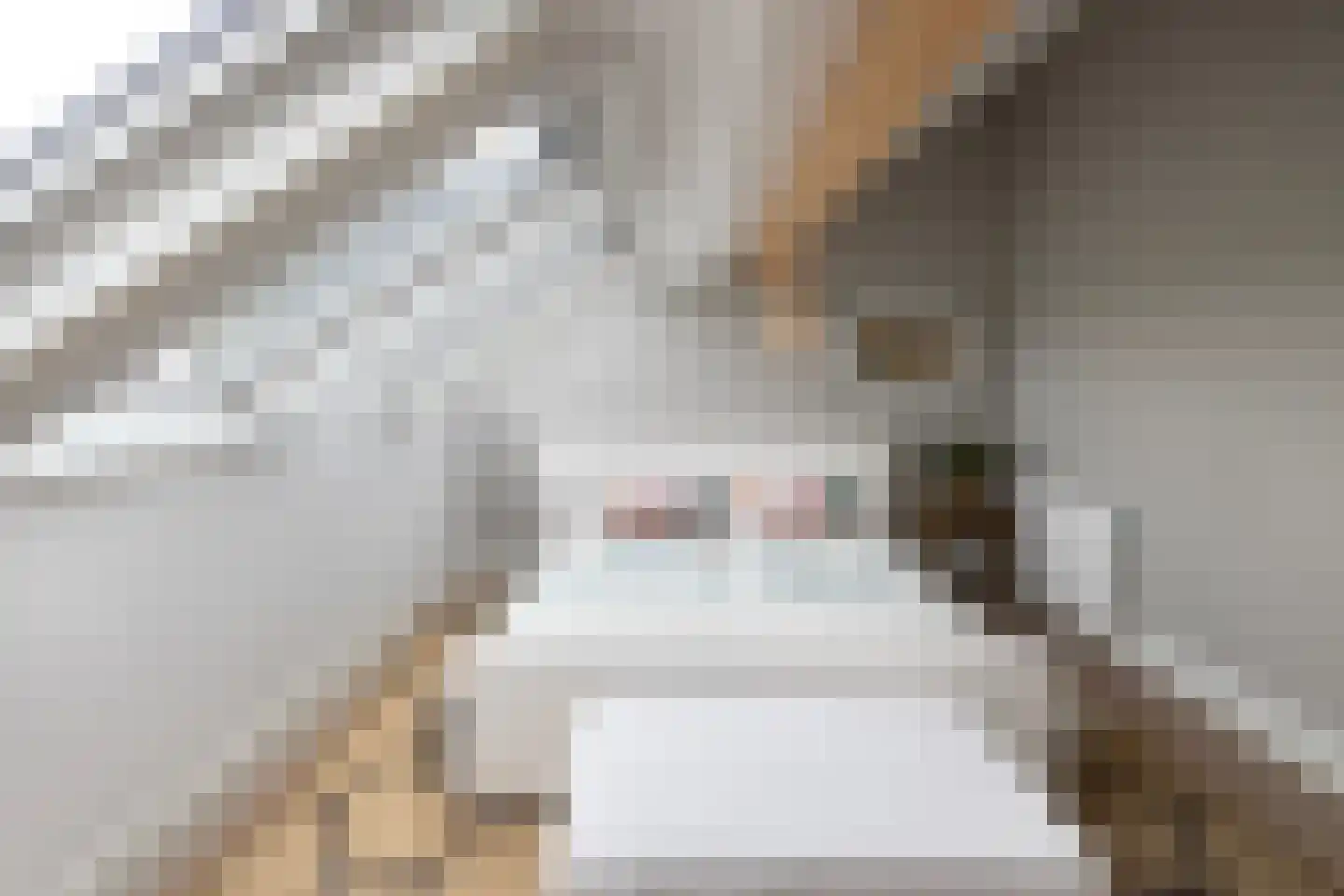 Schepersweg 9 a Harfsen thumbnail 35