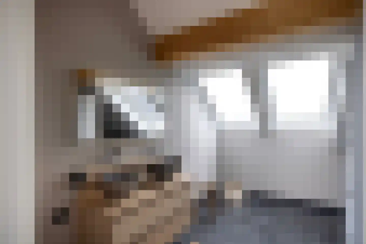 Schepersweg 9 a Harfsen thumbnail 36