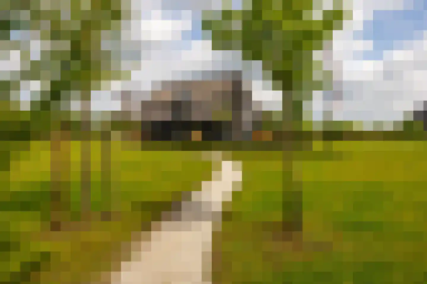 Schepersweg 9 a Harfsen thumbnail 72