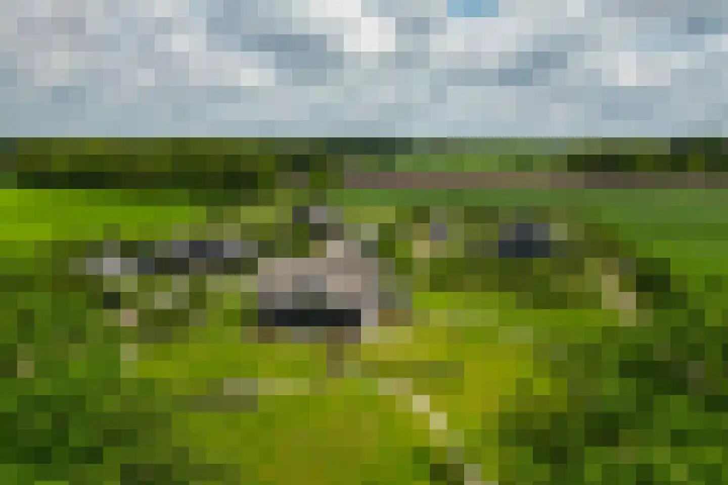 Schepersweg 9 a Harfsen thumbnail 79