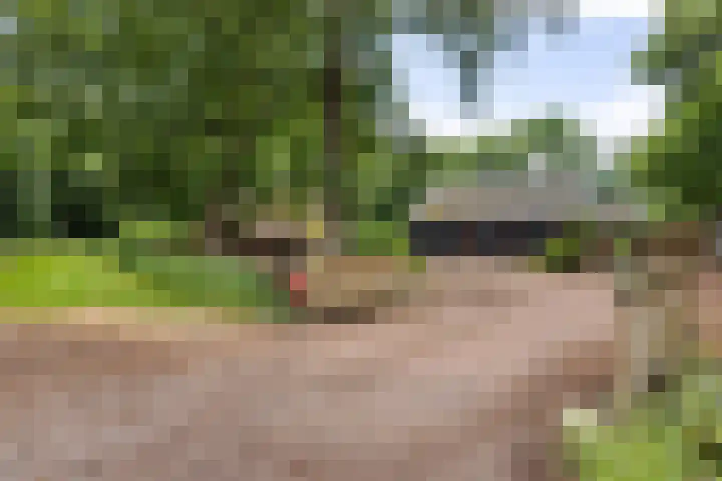 Scheperweg 2 Tynaarlo thumbnail 10