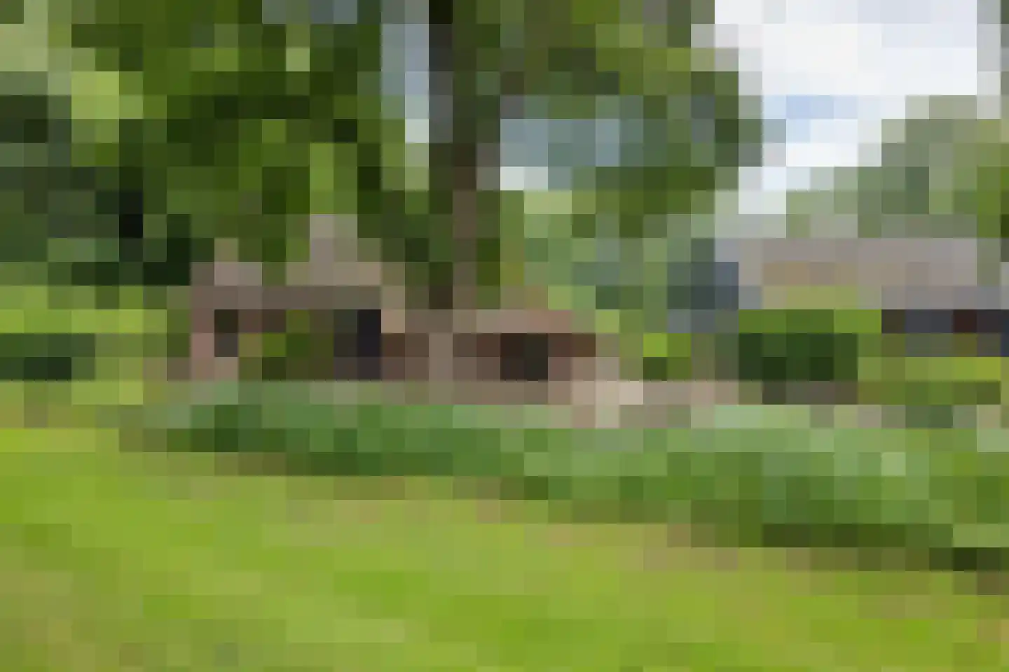 Scheperweg 2 Tynaarlo thumbnail 11