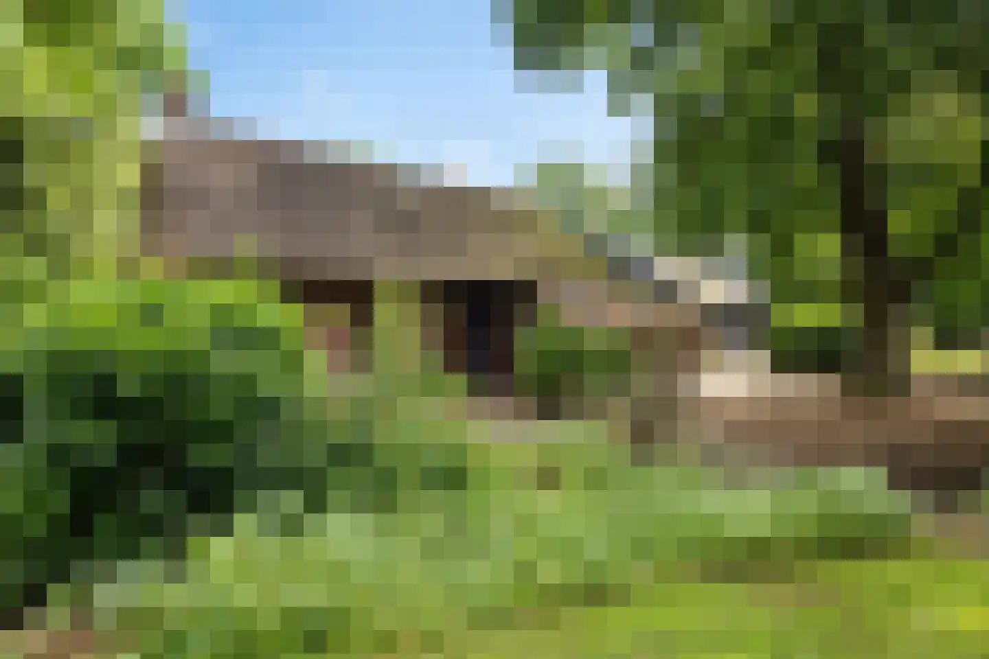 Scheperweg 2 Tynaarlo thumbnail 12