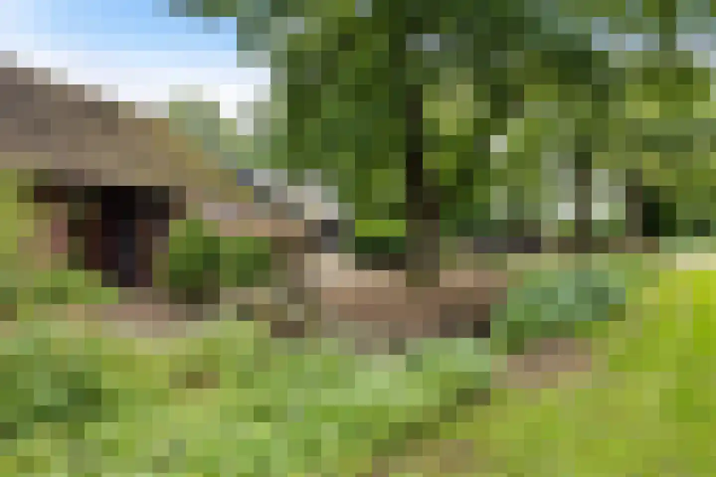 Scheperweg 2 Tynaarlo thumbnail 13