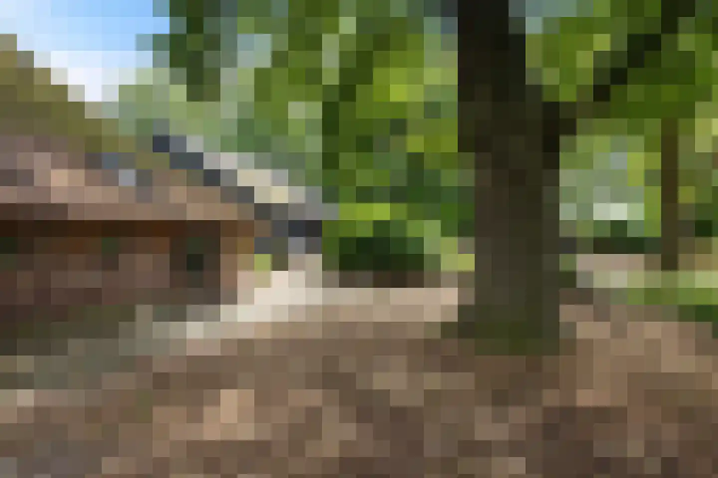 Scheperweg 2 Tynaarlo thumbnail 14