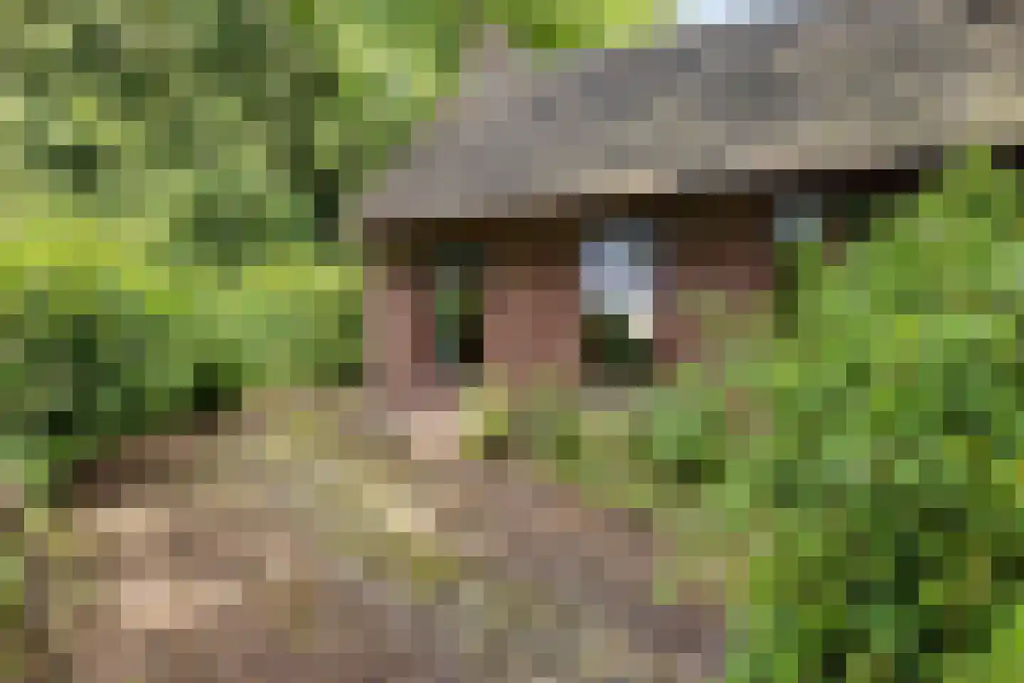 Scheperweg 2 Tynaarlo thumbnail 15