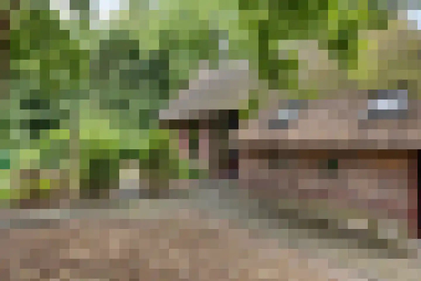 Scheperweg 2 Tynaarlo thumbnail 16