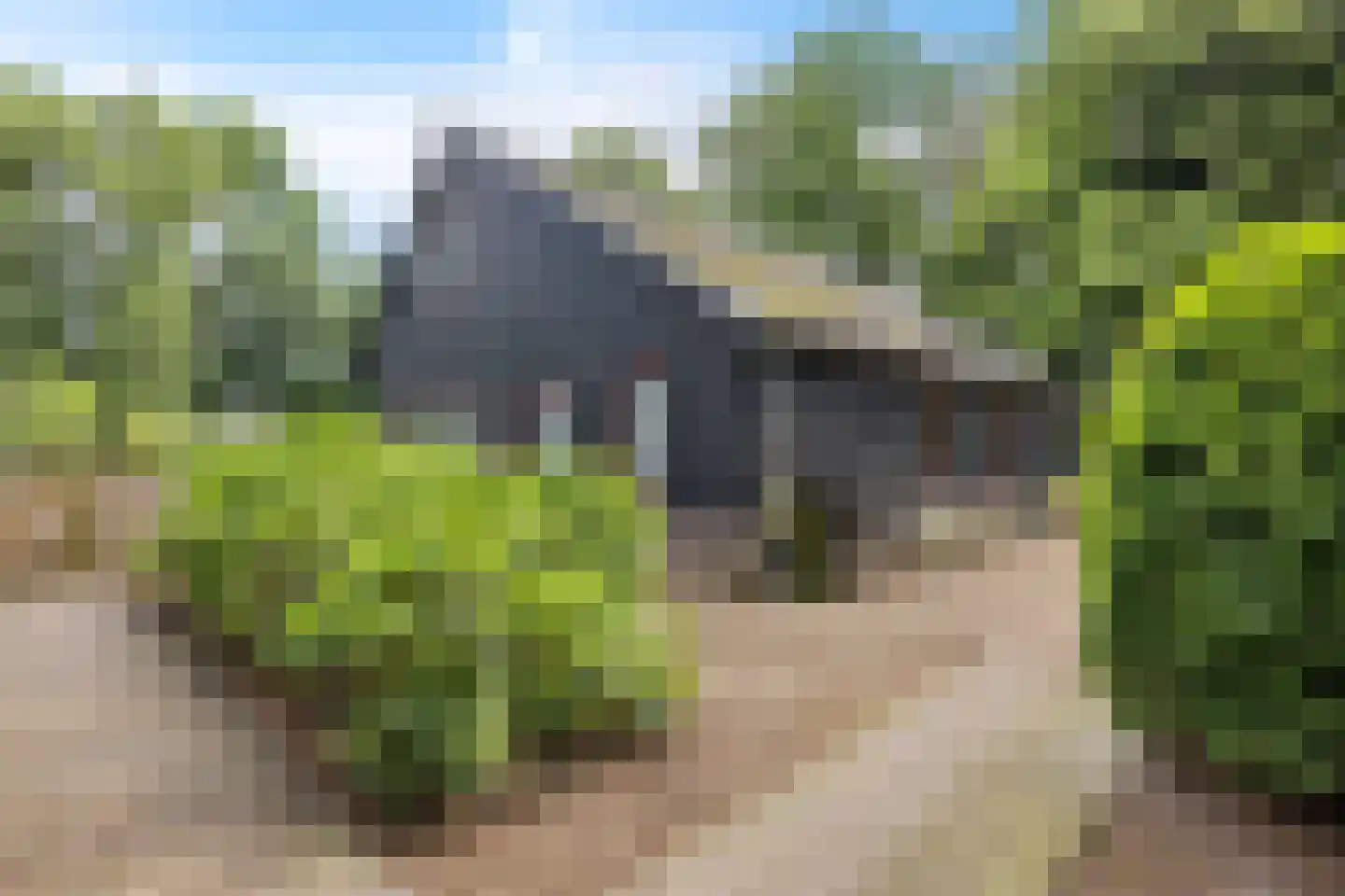 Scheperweg 2 Tynaarlo thumbnail 17