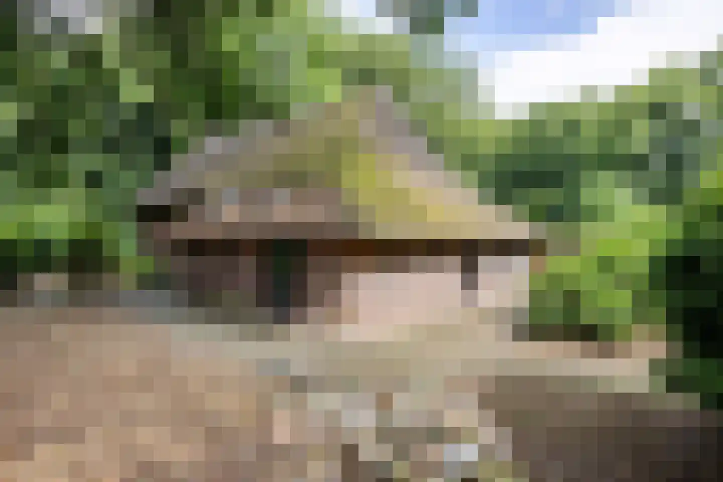 Scheperweg 2 Tynaarlo thumbnail 18