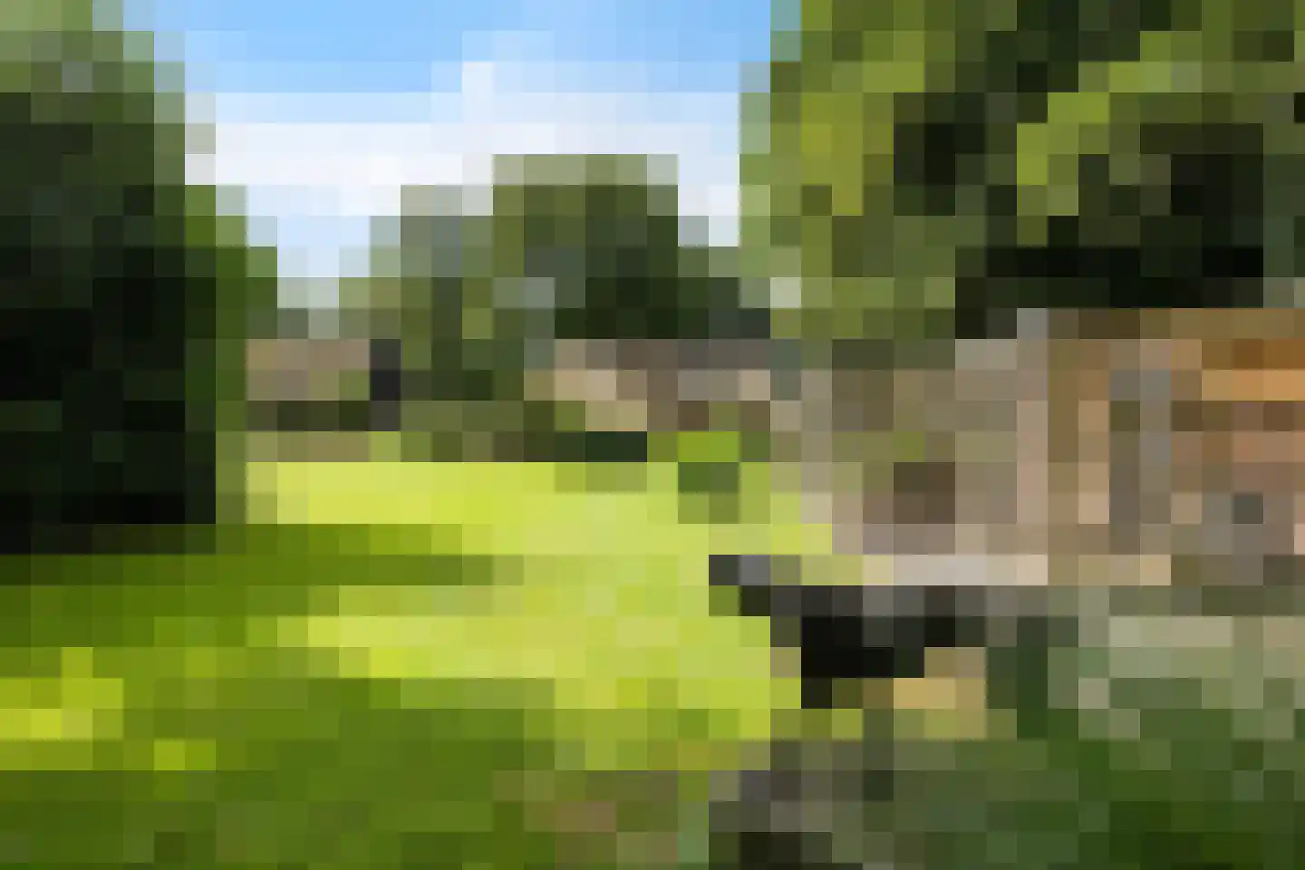 Scheperweg 2 Tynaarlo thumbnail 19
