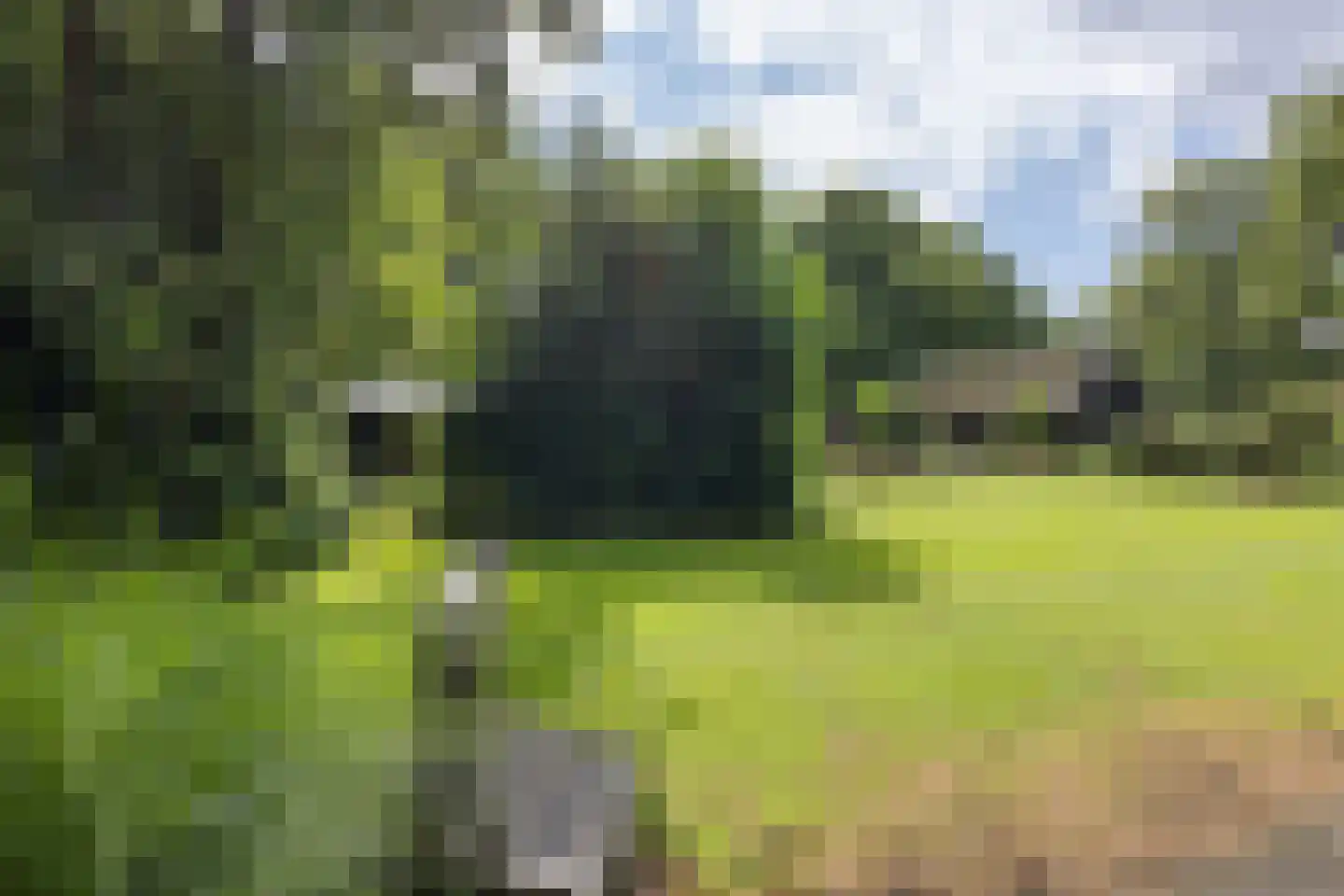 Scheperweg 2 Tynaarlo thumbnail 20