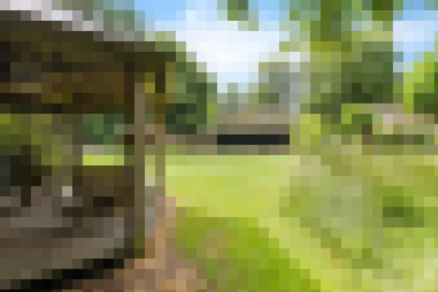 Scheperweg 2 Tynaarlo thumbnail 21