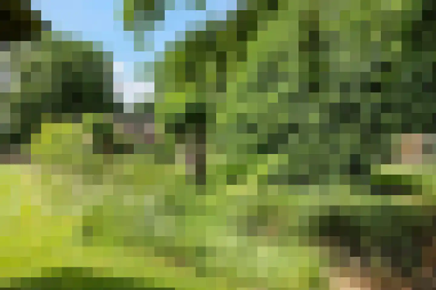 Scheperweg 2 Tynaarlo thumbnail 22