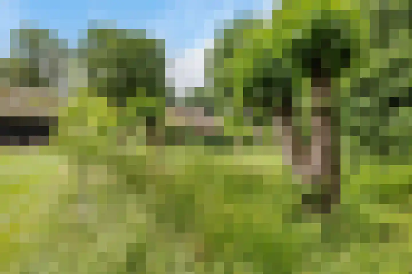 Scheperweg 2 Tynaarlo thumbnail 23