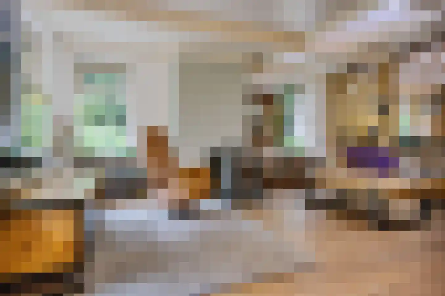Scheperweg 2 Tynaarlo thumbnail 26