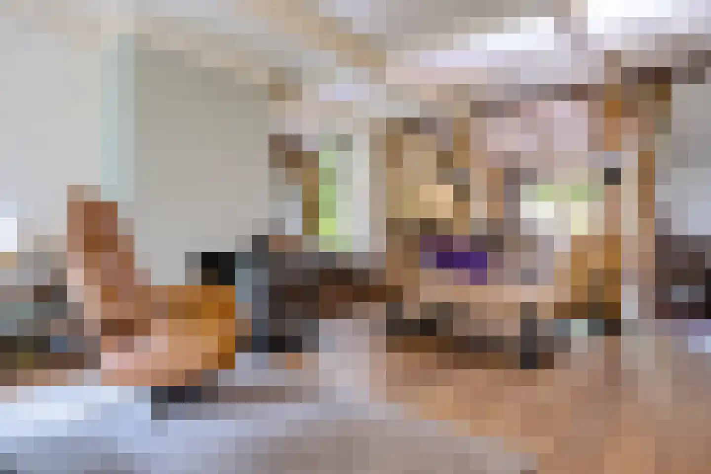 Scheperweg 2 Tynaarlo thumbnail 27