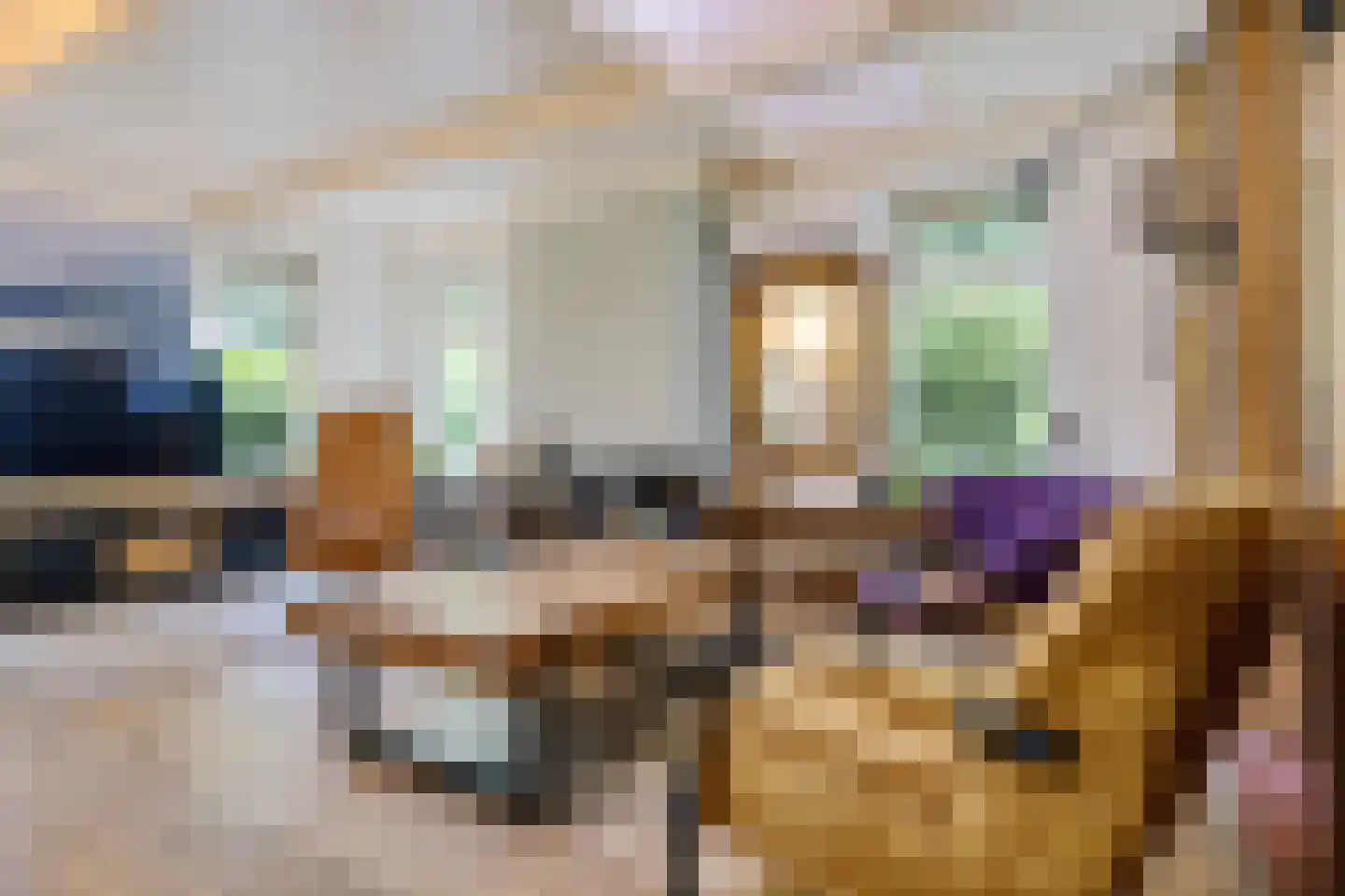 Scheperweg 2 Tynaarlo thumbnail 29