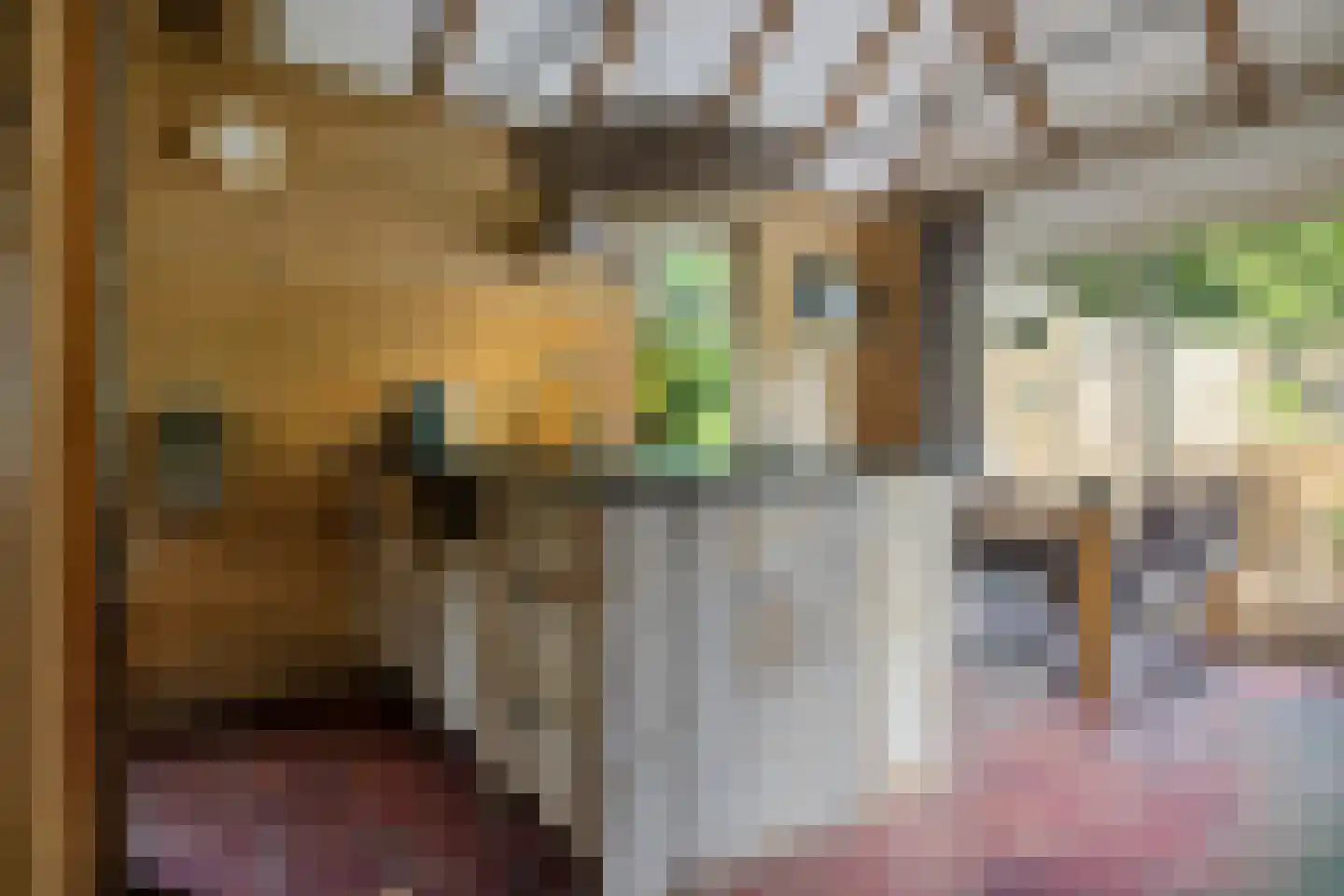 Scheperweg 2 Tynaarlo thumbnail 30