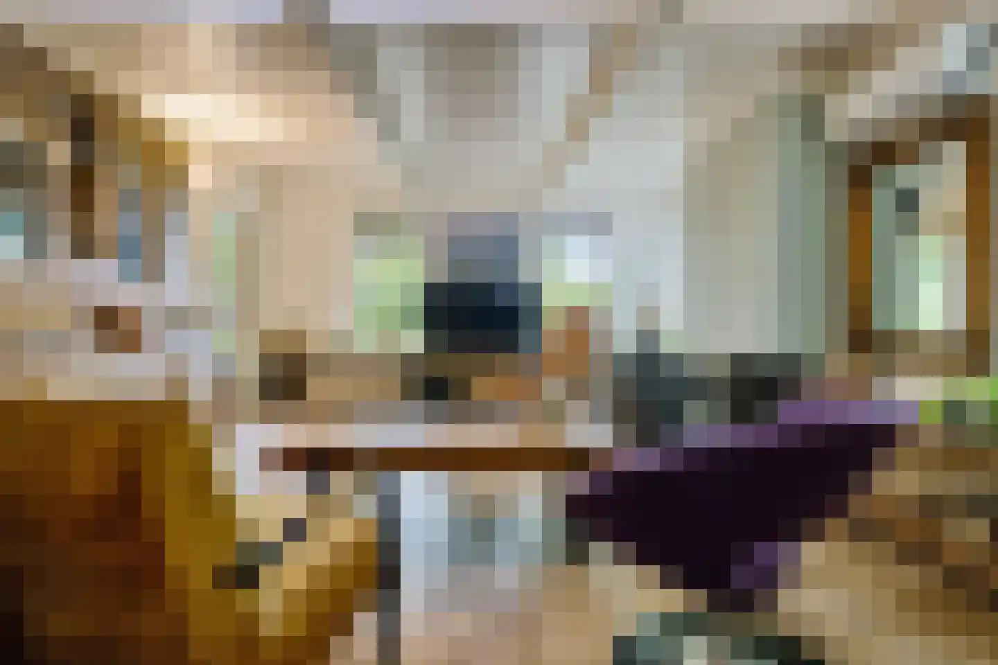Scheperweg 2 Tynaarlo thumbnail 31