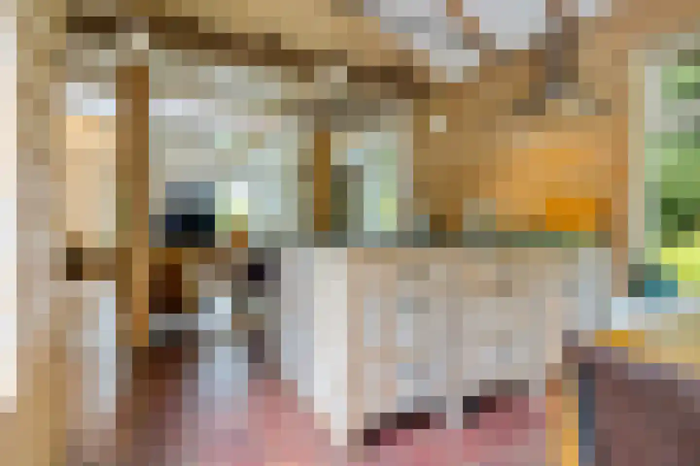 Scheperweg 2 Tynaarlo thumbnail 32
