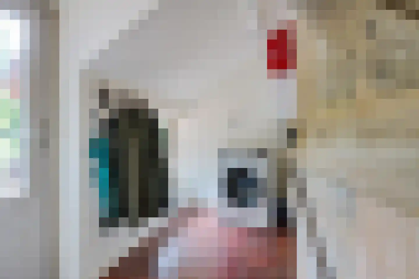 Scheperweg 2 Tynaarlo thumbnail 33