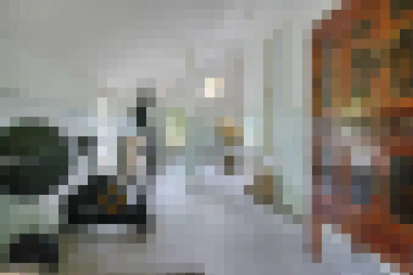 Scheperweg 2 Tynaarlo thumbnail 38