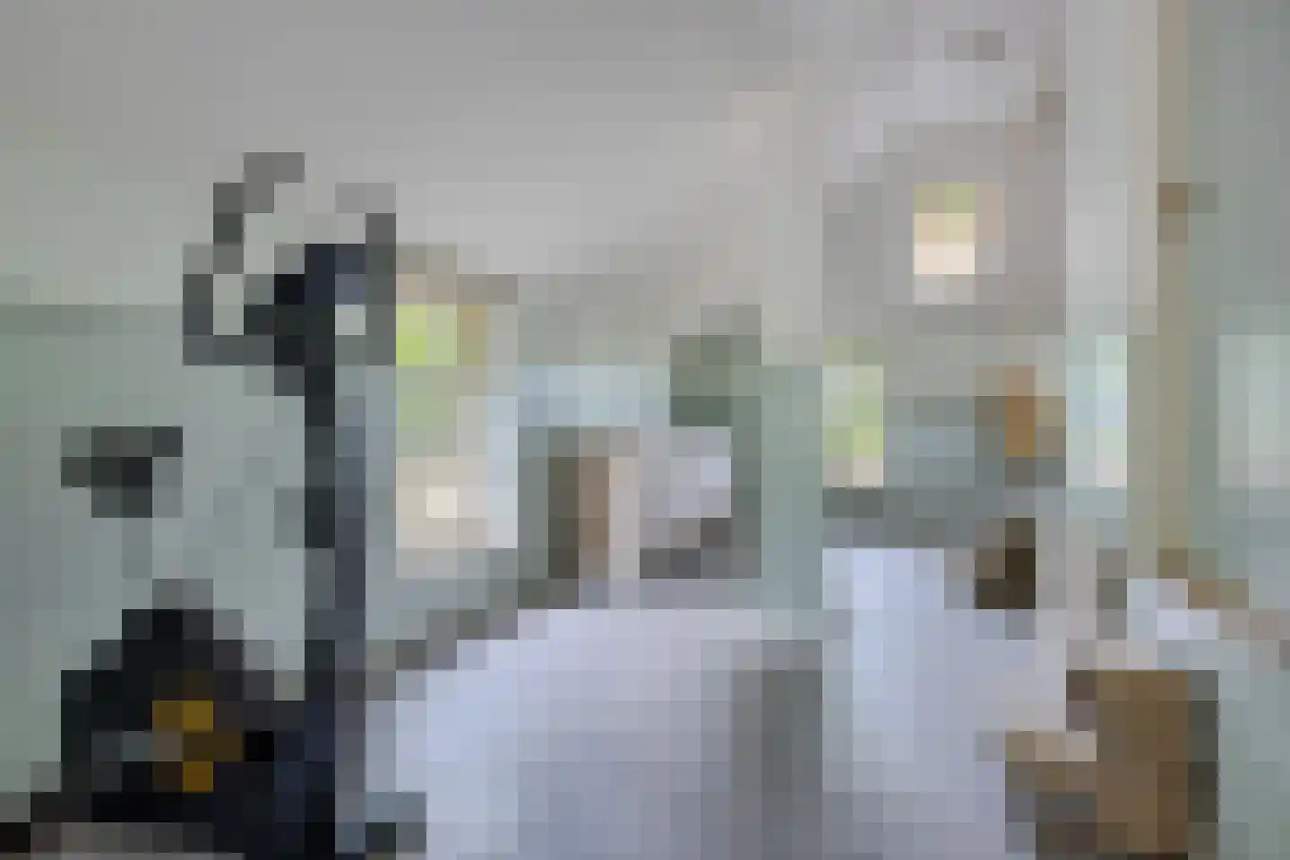Scheperweg 2 Tynaarlo thumbnail 39