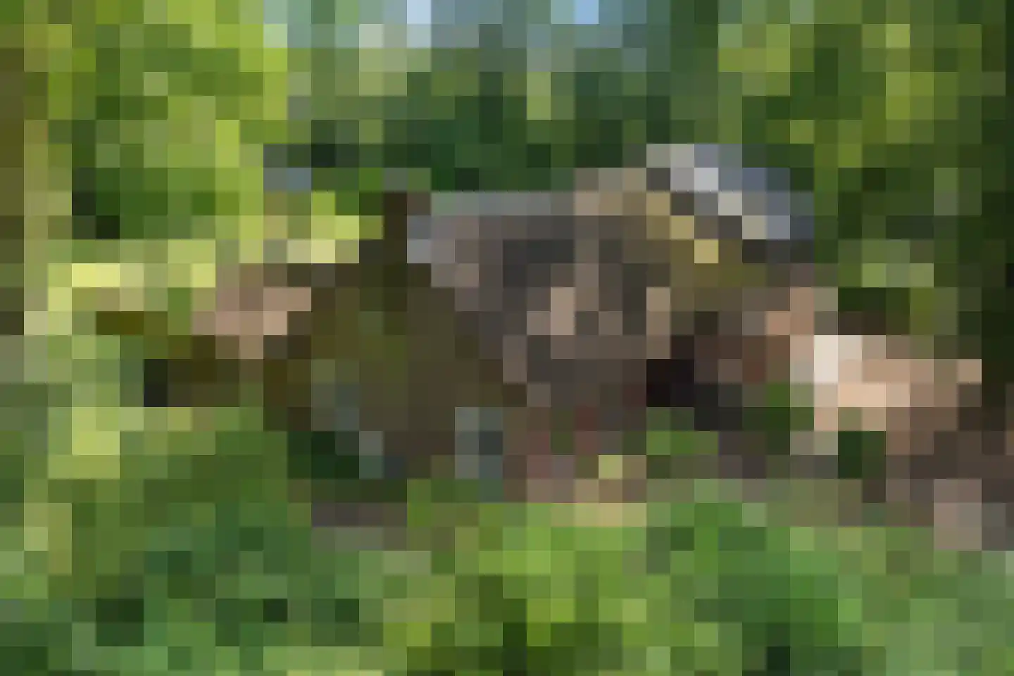 Scheperweg 2 Tynaarlo thumbnail 4