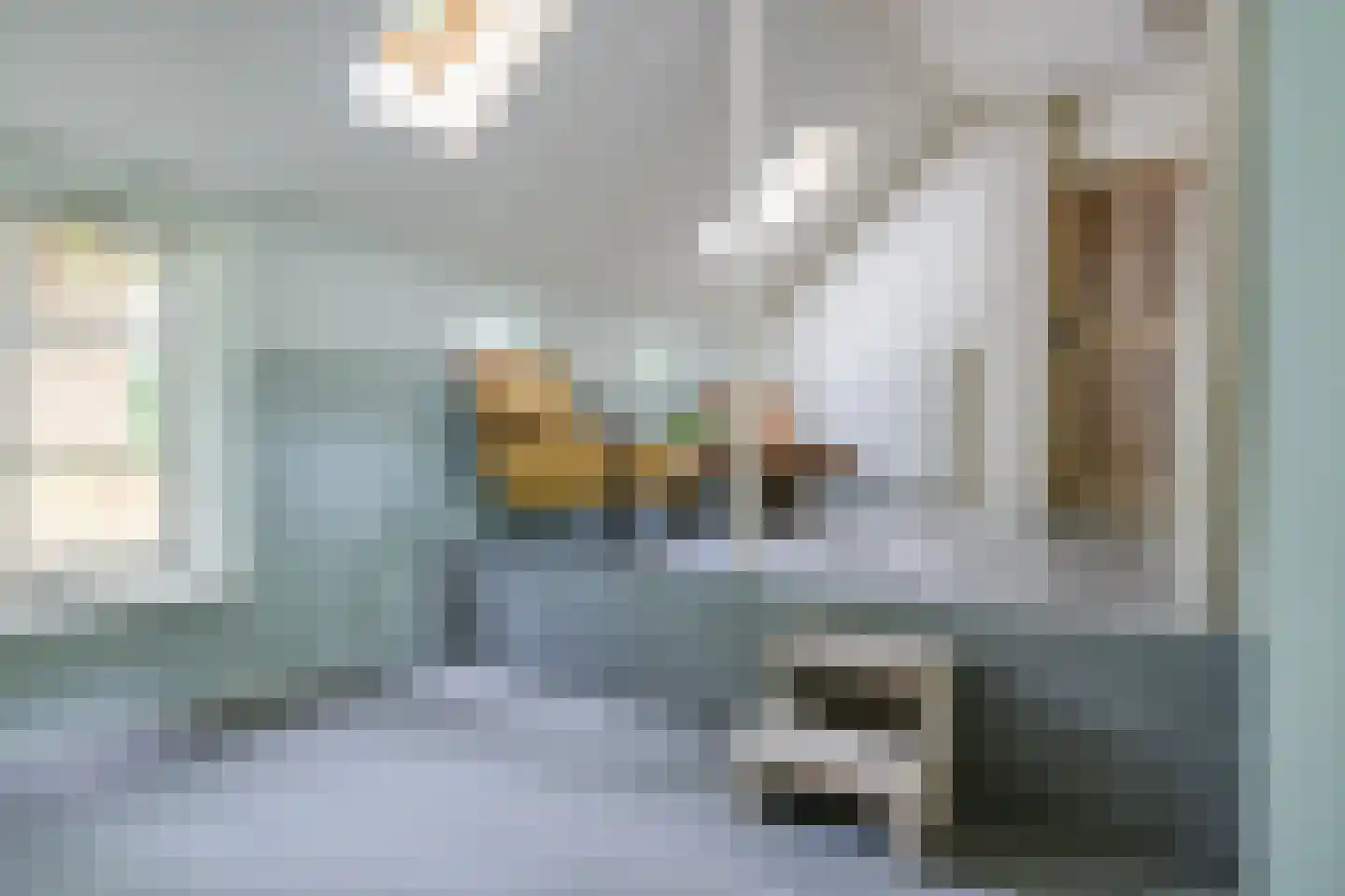 Scheperweg 2 Tynaarlo thumbnail 40