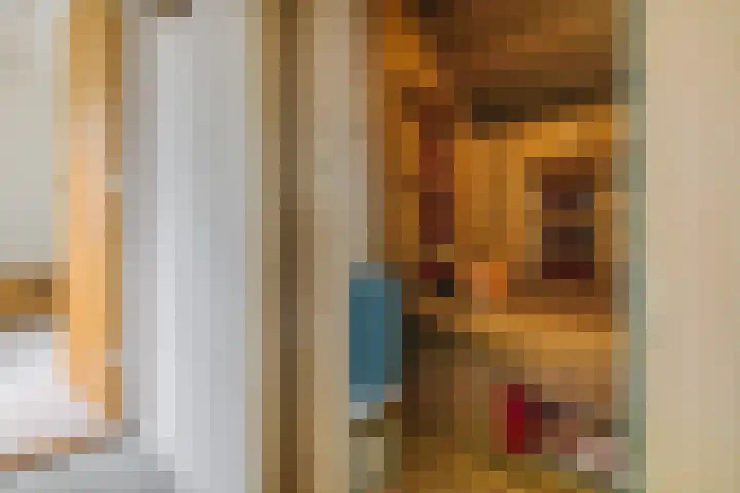 Scheperweg 2 Tynaarlo thumbnail 48