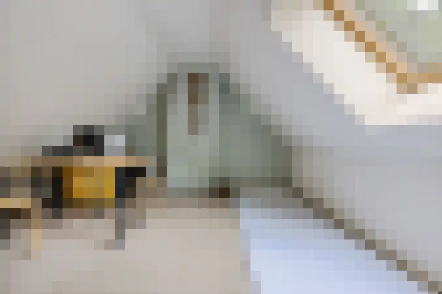 Scheperweg 2 Tynaarlo thumbnail 49