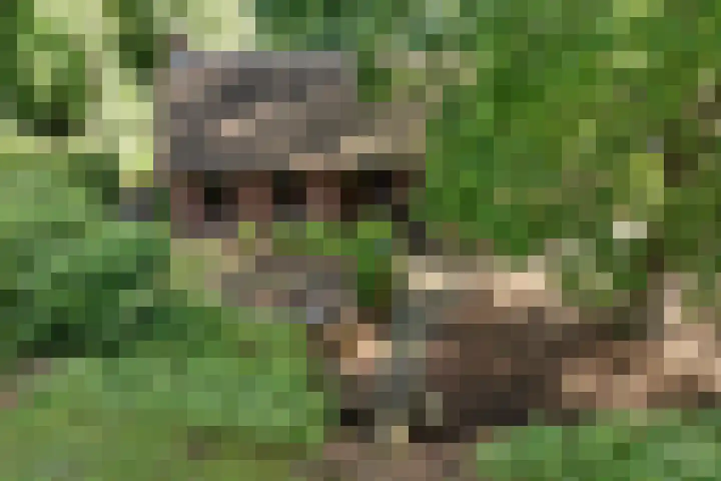 Scheperweg 2 Tynaarlo thumbnail 5