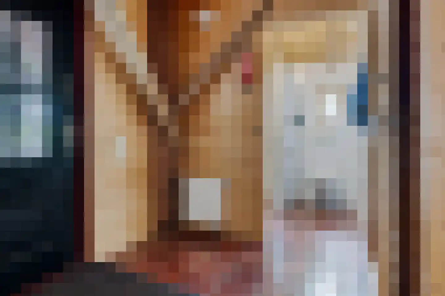 Scheperweg 2 Tynaarlo thumbnail 51