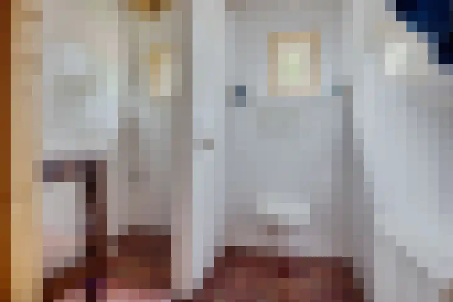Scheperweg 2 Tynaarlo thumbnail 52