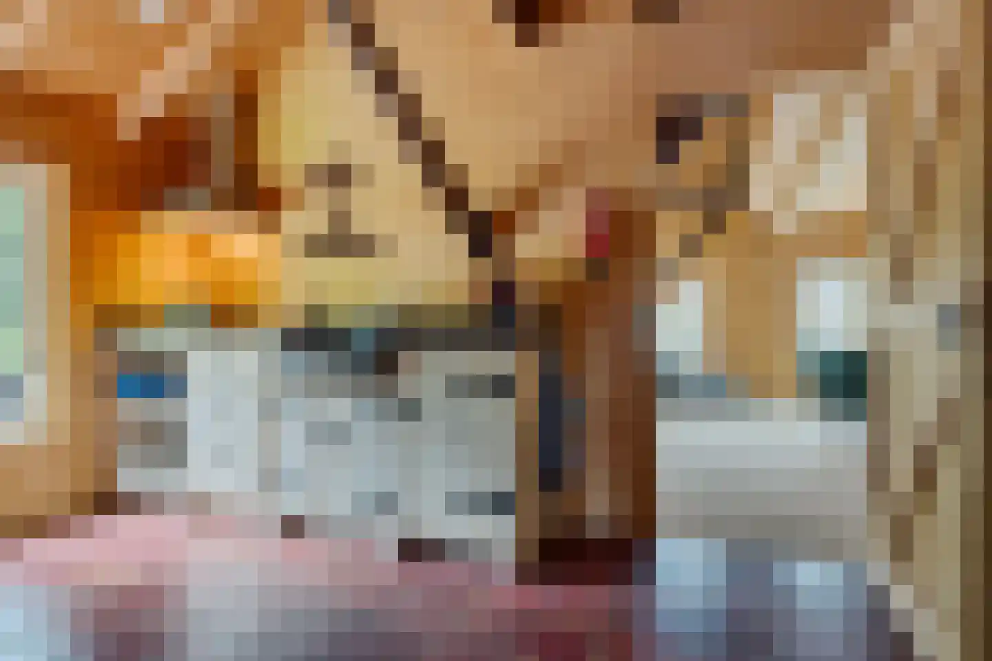 Scheperweg 2 Tynaarlo thumbnail 55