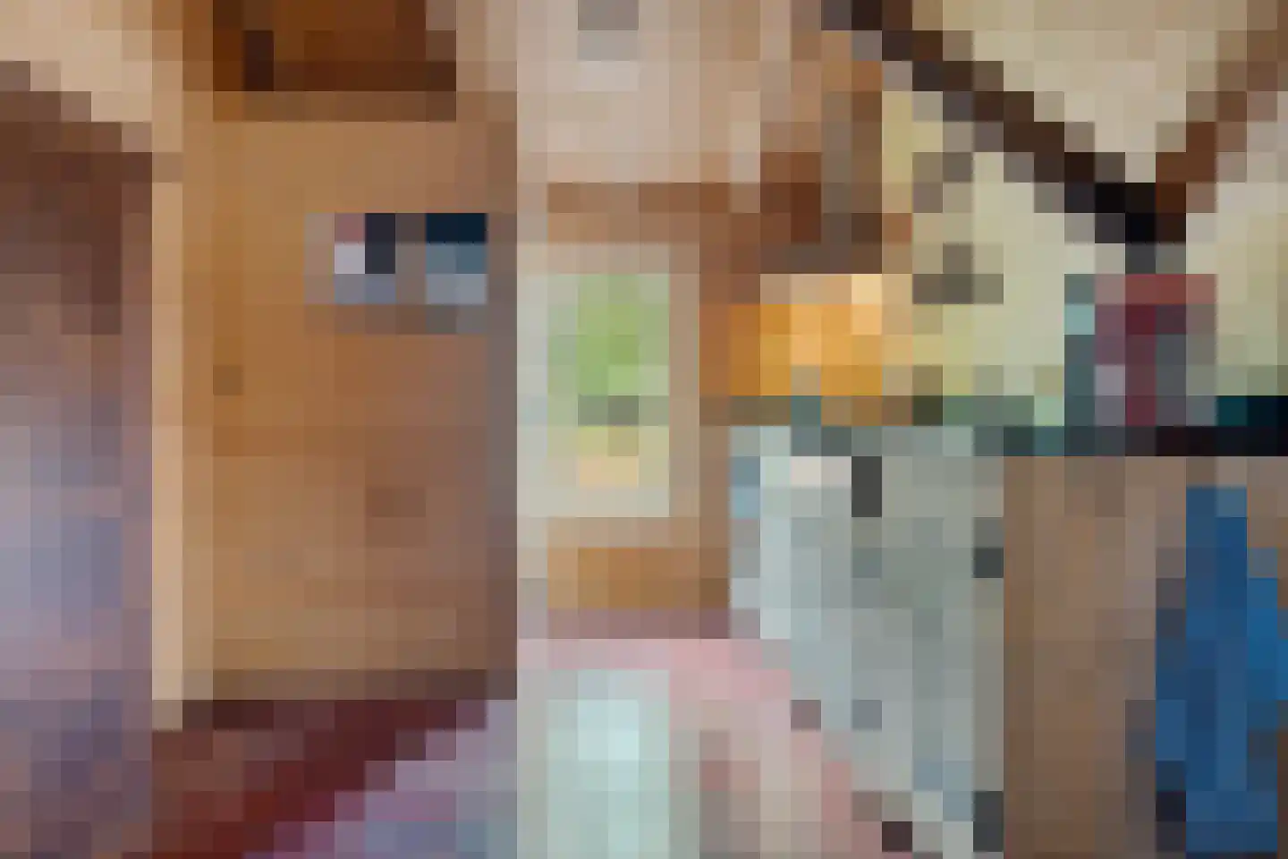 Scheperweg 2 Tynaarlo thumbnail 56