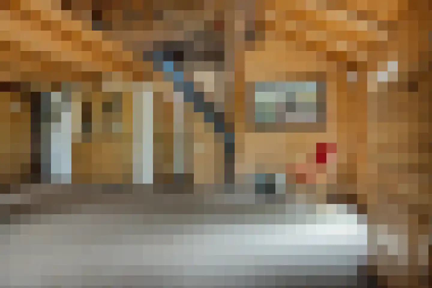 Scheperweg 2 Tynaarlo thumbnail 59