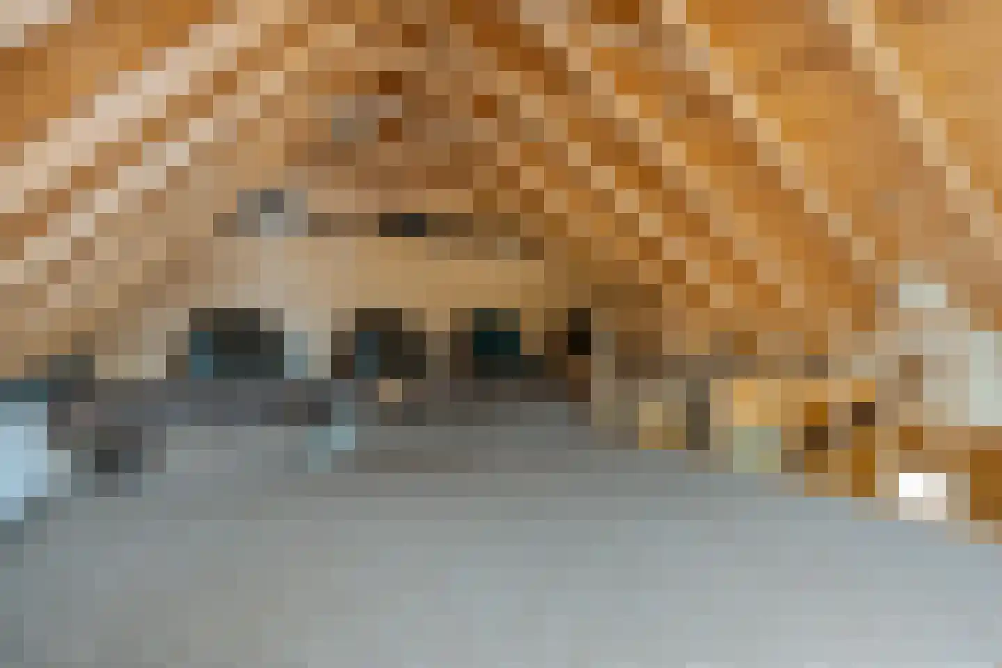 Scheperweg 2 Tynaarlo thumbnail 60