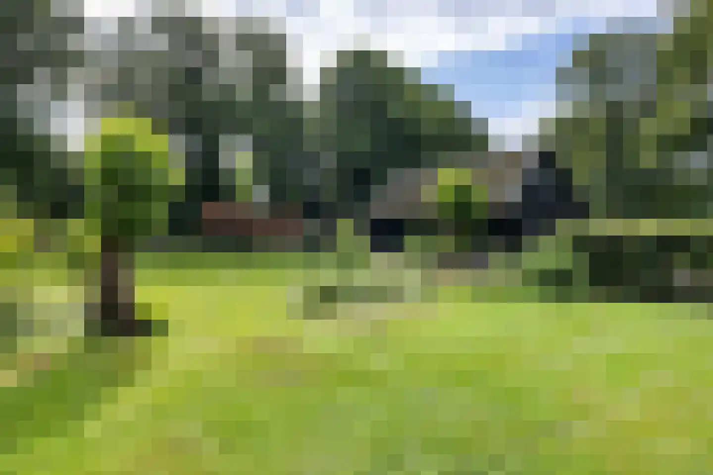 Scheperweg 2 Tynaarlo thumbnail 64