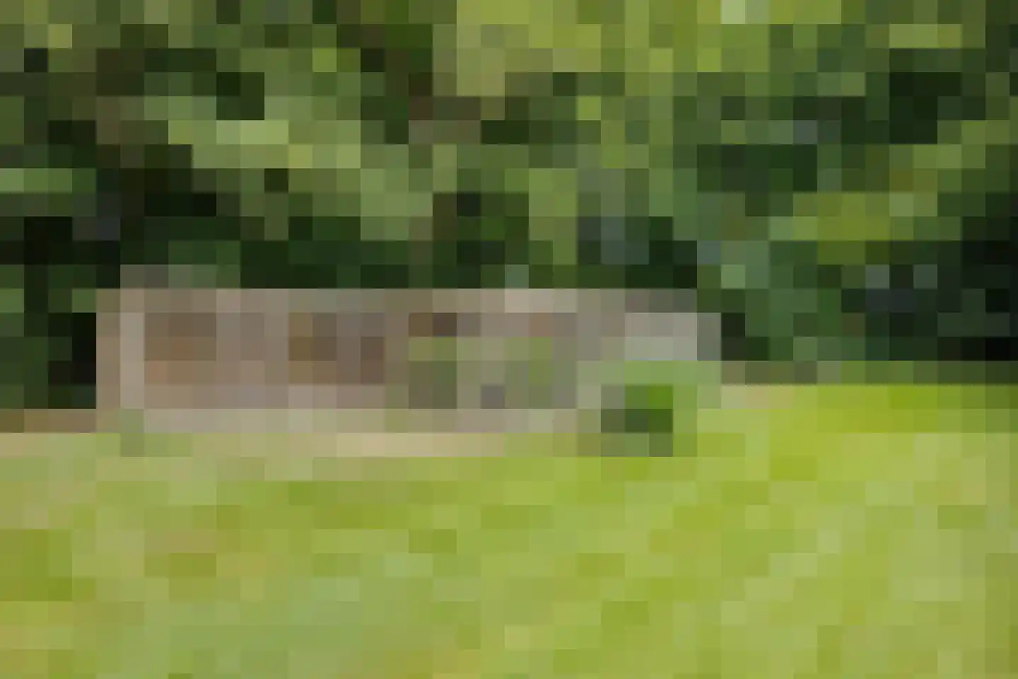 Scheperweg 2 Tynaarlo thumbnail 65