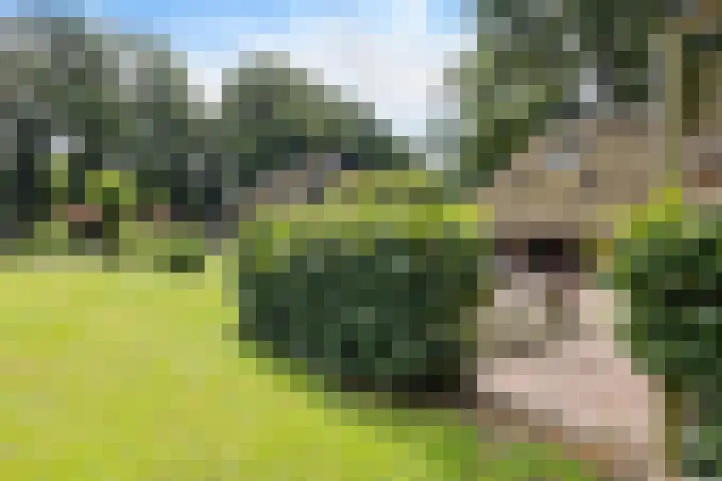 Scheperweg 2 Tynaarlo thumbnail 67