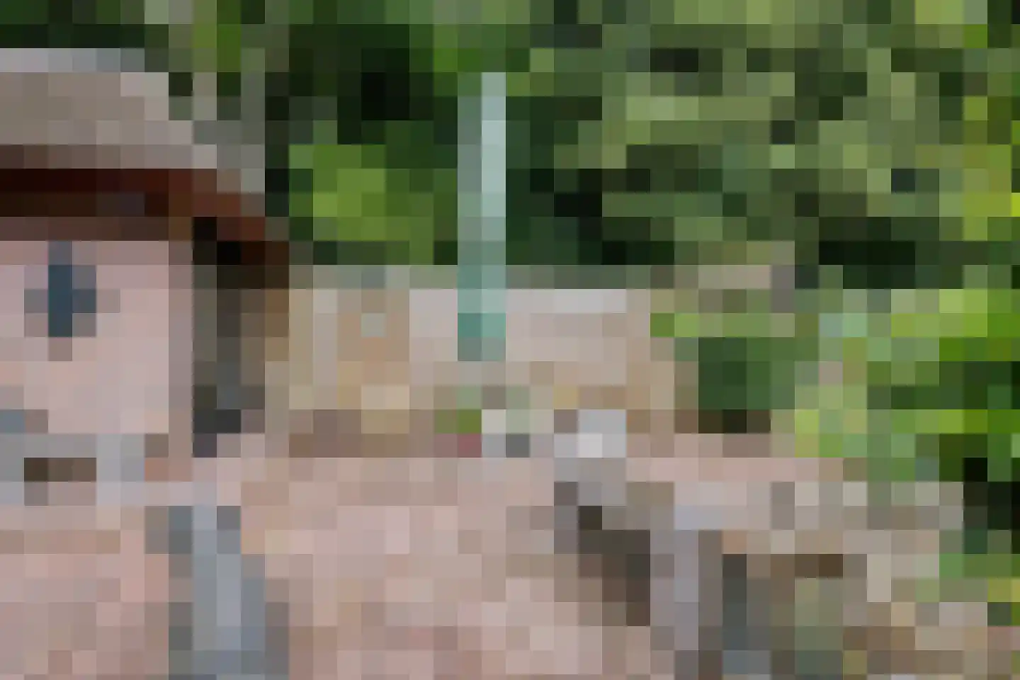 Scheperweg 2 Tynaarlo thumbnail 69