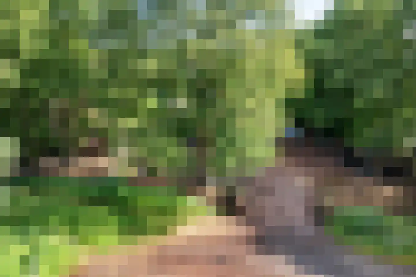 Scheperweg 2 Tynaarlo thumbnail 7