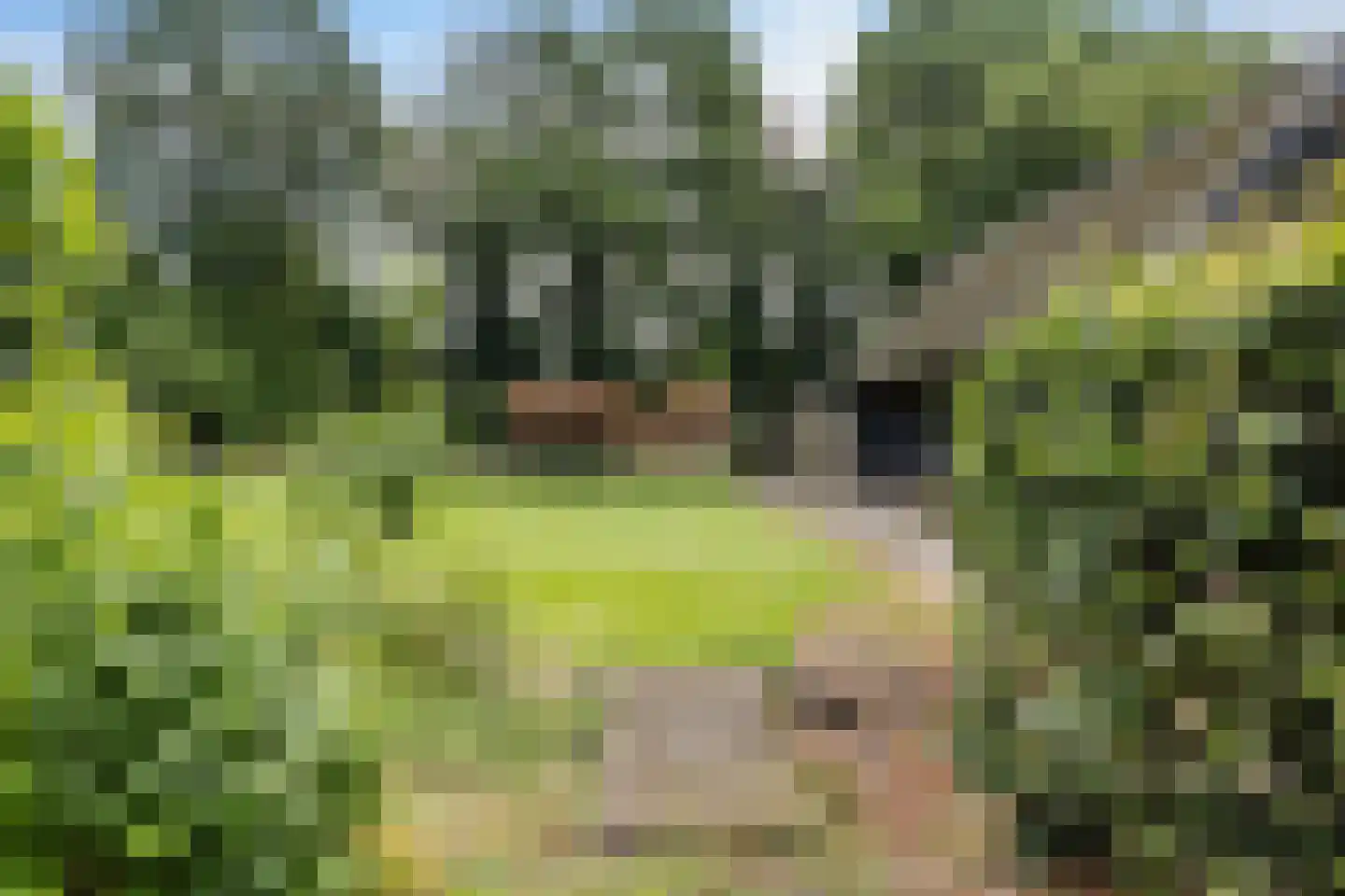 Scheperweg 2 Tynaarlo thumbnail 72