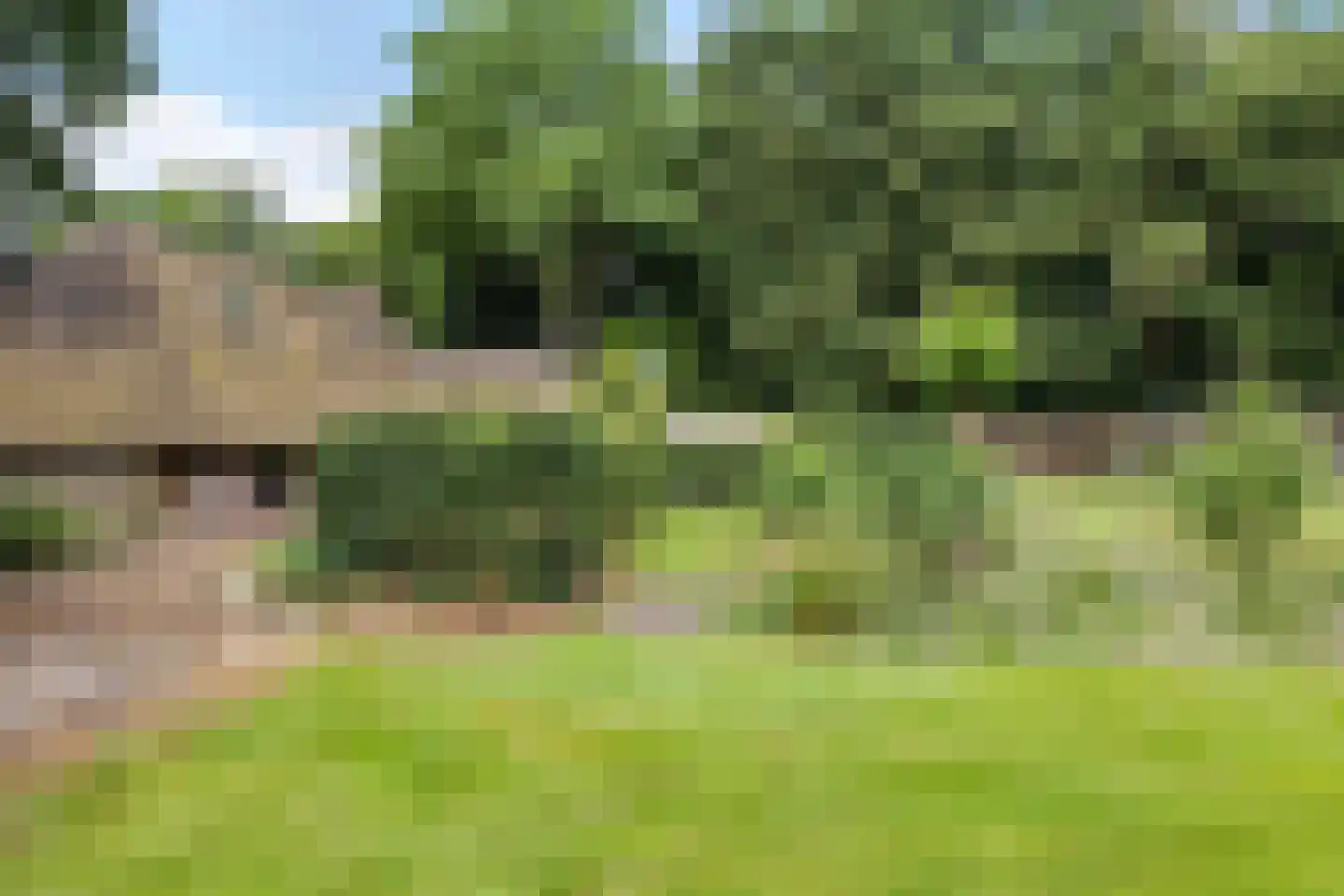Scheperweg 2 Tynaarlo thumbnail 74