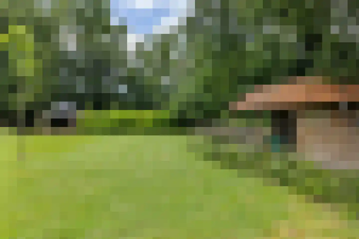 Scheperweg 2 Tynaarlo thumbnail 75