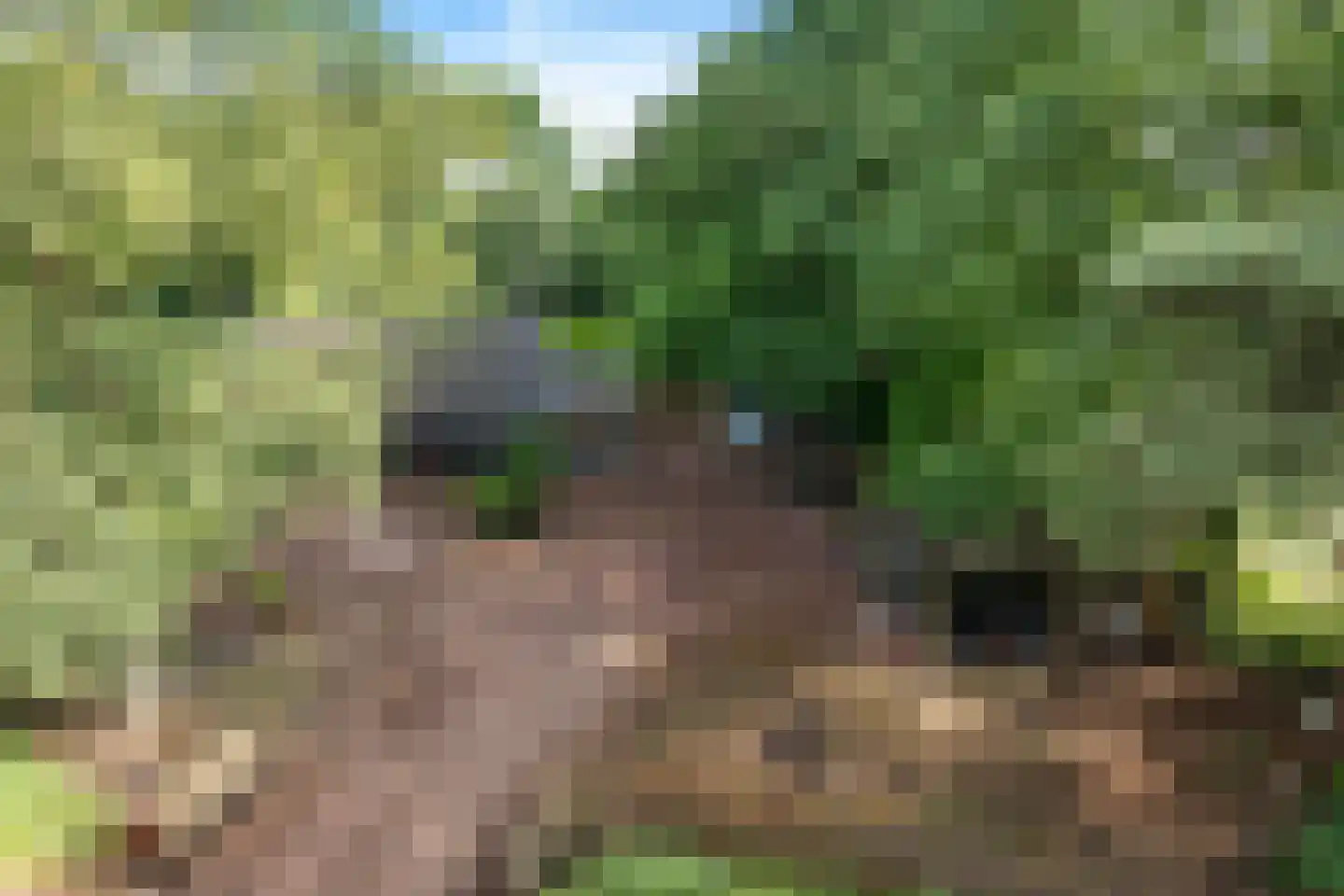 Scheperweg 2 Tynaarlo thumbnail 8